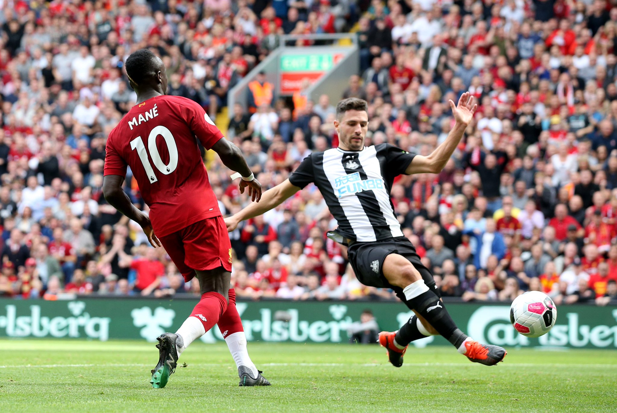 育多元化的 育多元化的